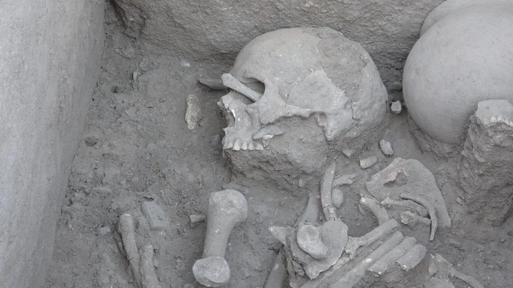 Çayönü Höyüğü'nde 5 bin yıllık sandık tipi mezar bulundu